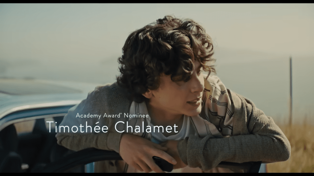 timothée chalamet movies on netflix 
