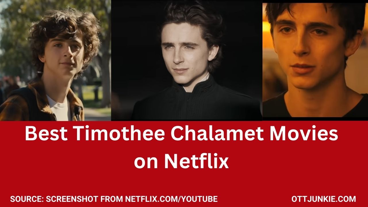 timothée chalamet movies on netflix